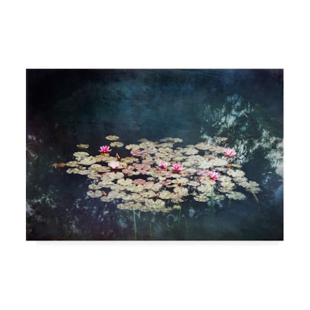 Dirk Wastenhagen 'Waterlilies On Black' Canvas Art,16x24